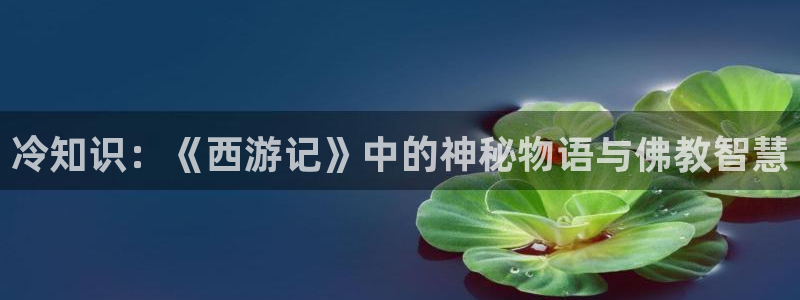读免费小说