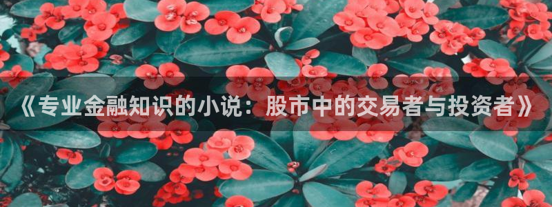 小说全本免费小说阅读网