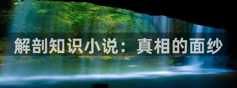 同人免费小说软件