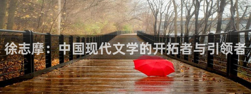 全网免费小说