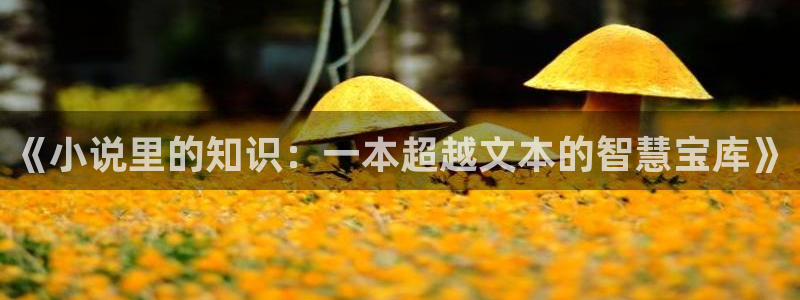 飞卢同人免费小说网