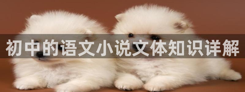 17k小说网免费小说阅读网