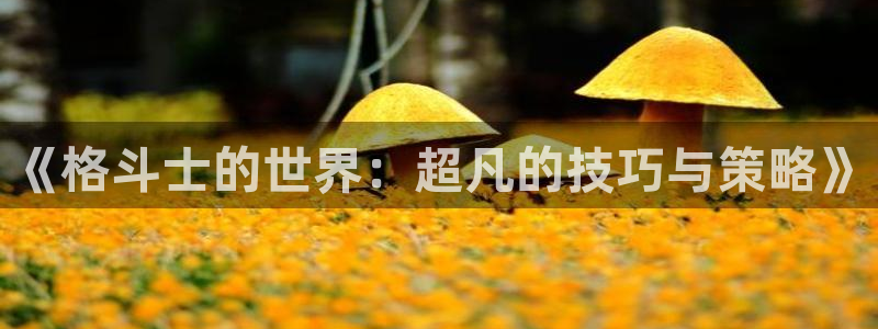 免费小说阅读榜