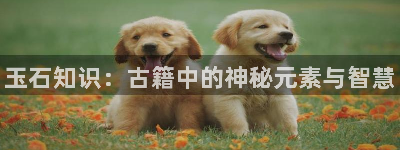 小说网站免费小说