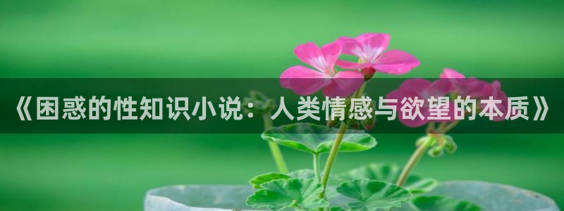 小说免费小说网