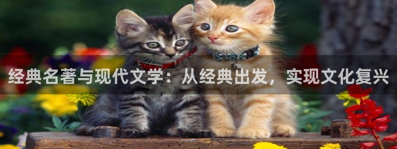 熊猫免费小说大全