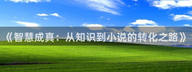 >猫免费小说