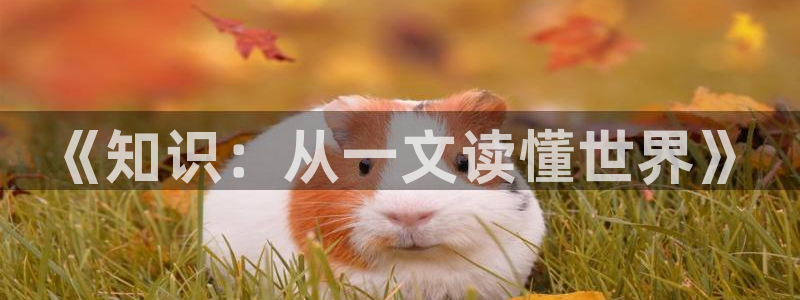 免费小说阅读.