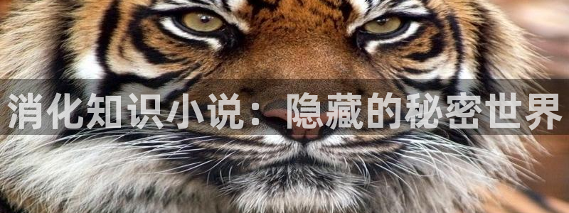 笔趣书阁免费小说