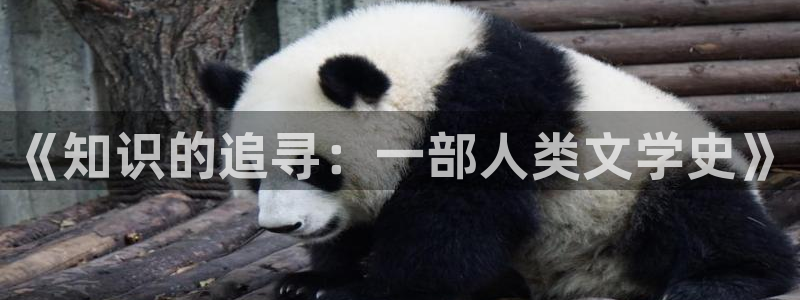全本免费小说网站